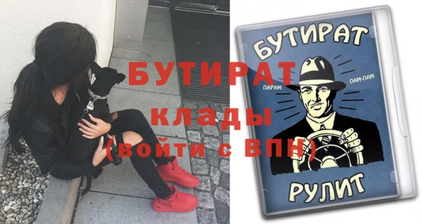 хмурый Аркадак
