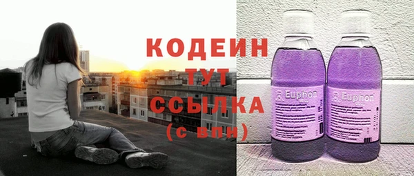 хмурый Аркадак