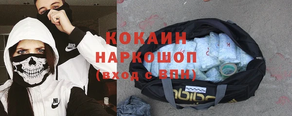 хмурый Аркадак
